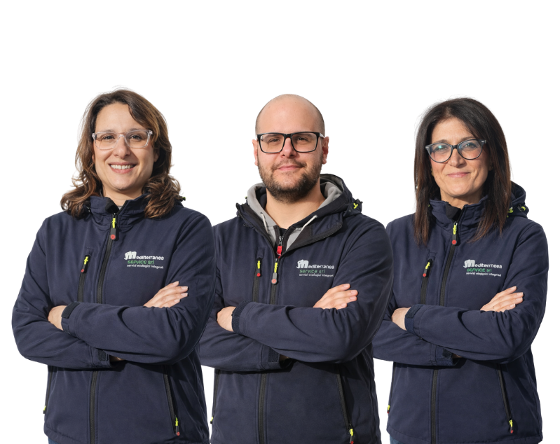 mediterranea team gruppo